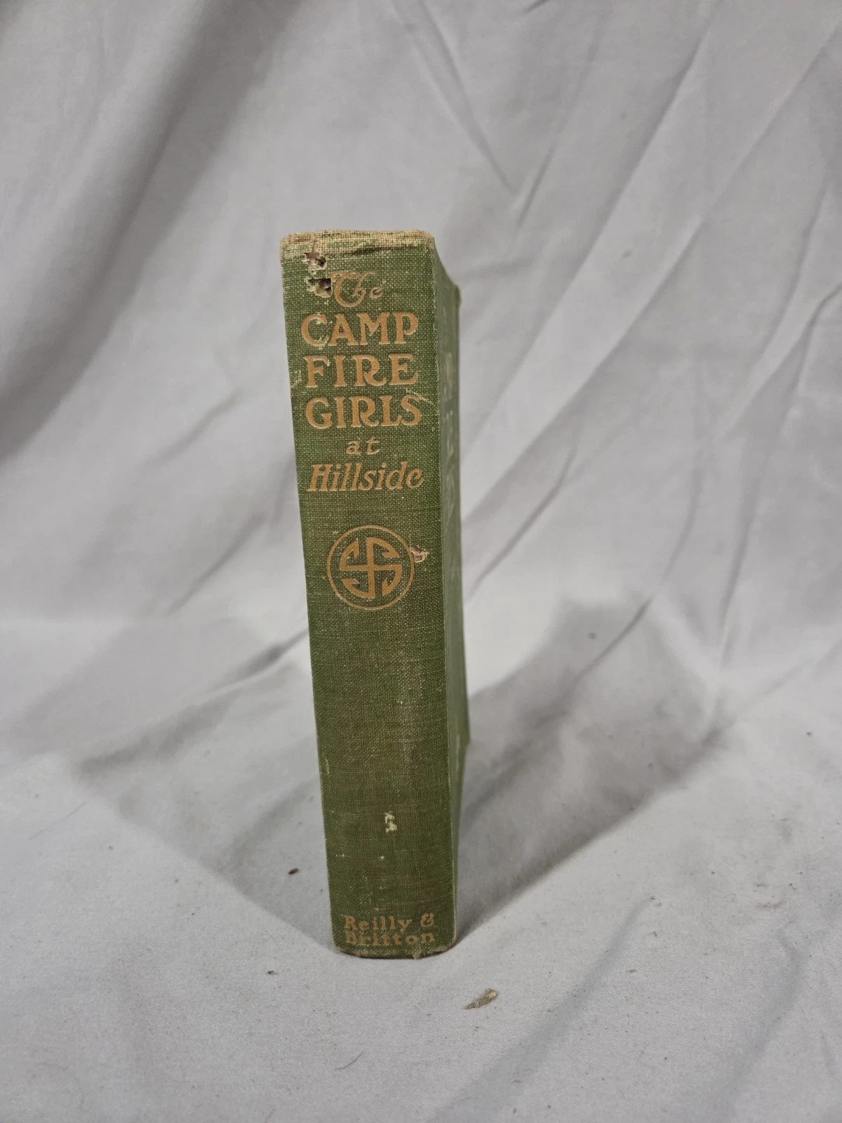 The Camp Fire Girls at Hillside by Margaret Love Sanderson 1913 - photo 2