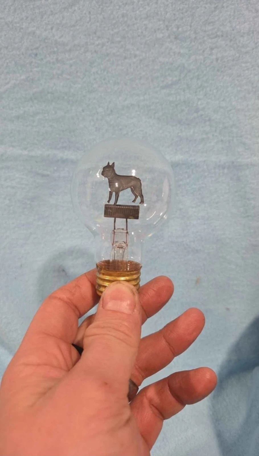Aerolux Light "Cheer Light" Boston Terrier - Rare - photo 2