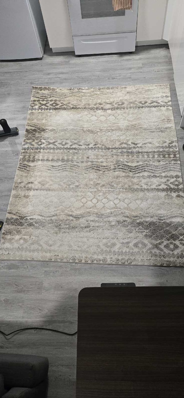 Living Area Rug 5.3 ft. x 7ft