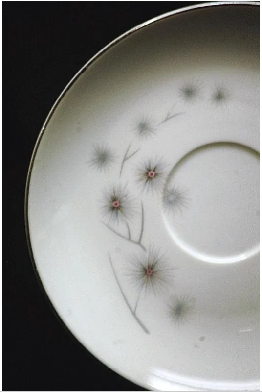 Vintage Platinum Star Burst Fine China Saucer & Tea Cup image indicator(8)