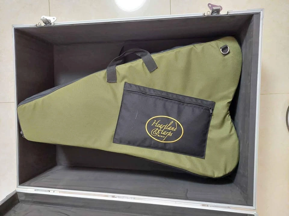 Used Instrument Flight Case (Instrument Not Included) - photo 4