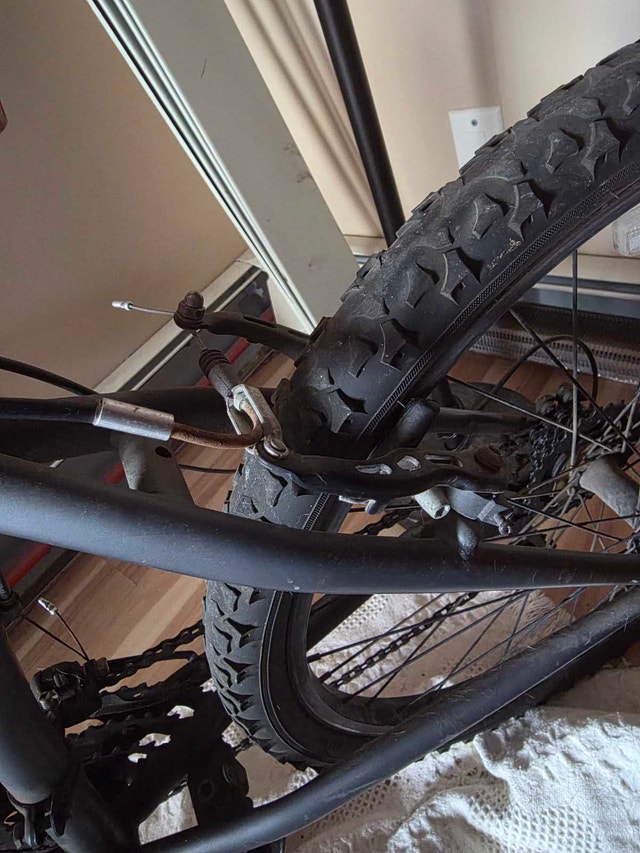 Mountain Bike - photo 5