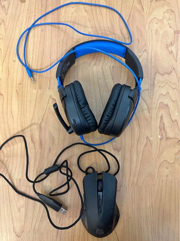Turtle Beach Headphones and Red Dragon Mouse - Both for $50