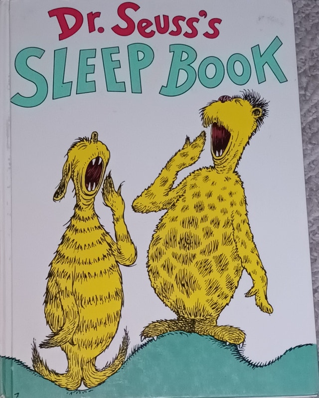 Dr Seuss The Sleep Large HARD Cover Book