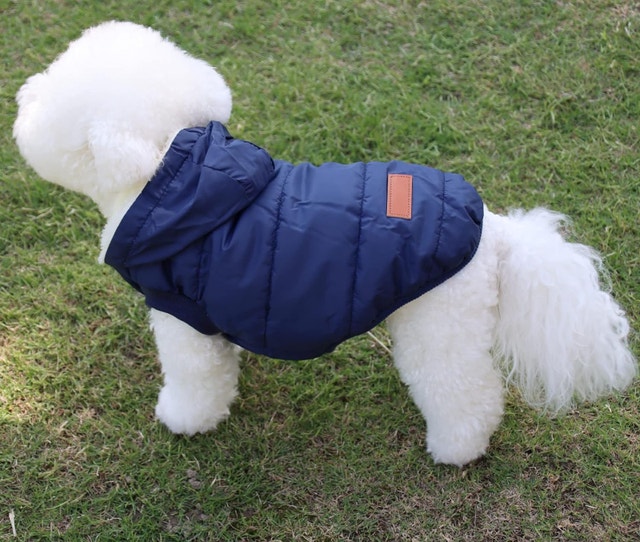 Large Blue Fleece Lined Dog Hoodie - Extra Warm Winter Coat