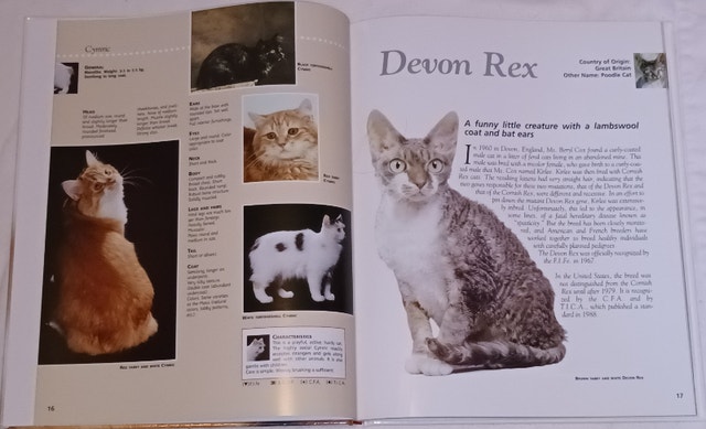 Royal Canin Cat Encyclopedia Vol 3 Hardcover - photo 3