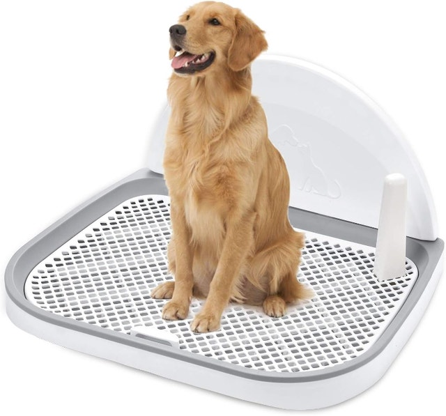 NEW Dog Potty Tray Pet Indoor Training Toilet 23 x 20