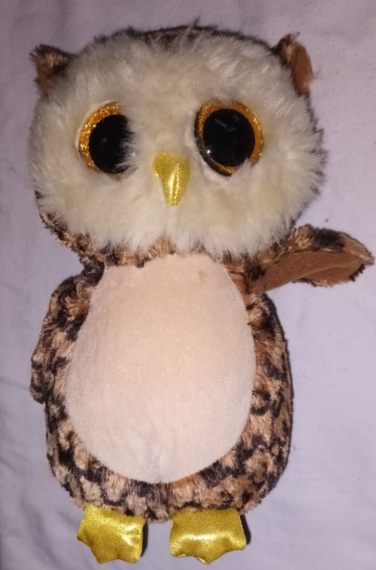 TY Beanie Boo Owl Lot - Swoop, Spells, Owliver, Wise, Owlete - photo 3