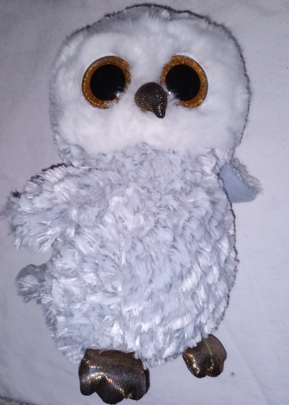 TY Beanie Boo Owl Lot - Swoop, Spells, Owliver, Wise, Owlete - photo 4