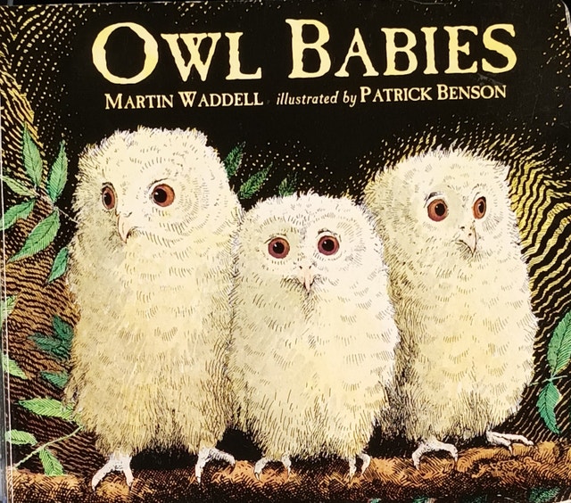 Owl Babies BOARD Book by Martin Waddell