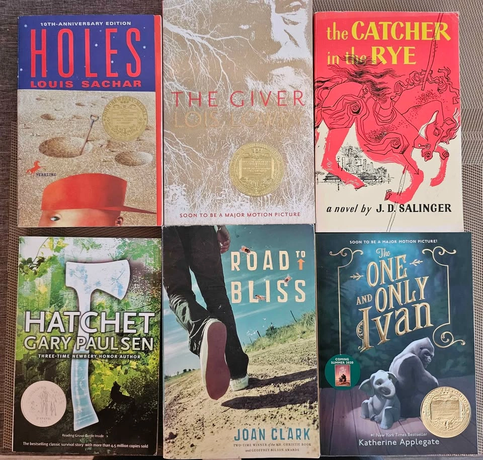 Books for sale $5 each - photo 2