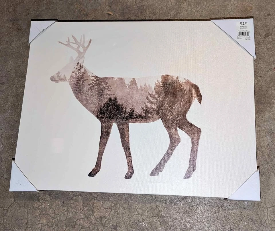 Wall art $20 for everything