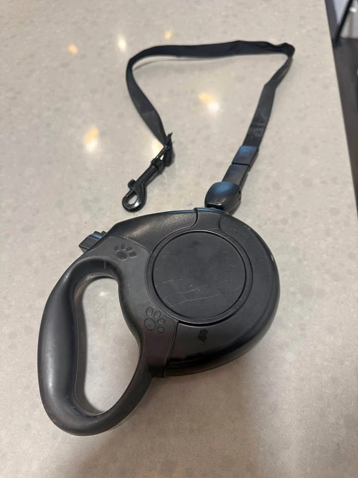 Classic Retractable Tape Dog Leash