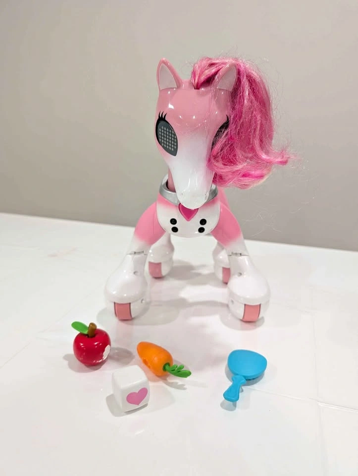 Zoomer Show pony