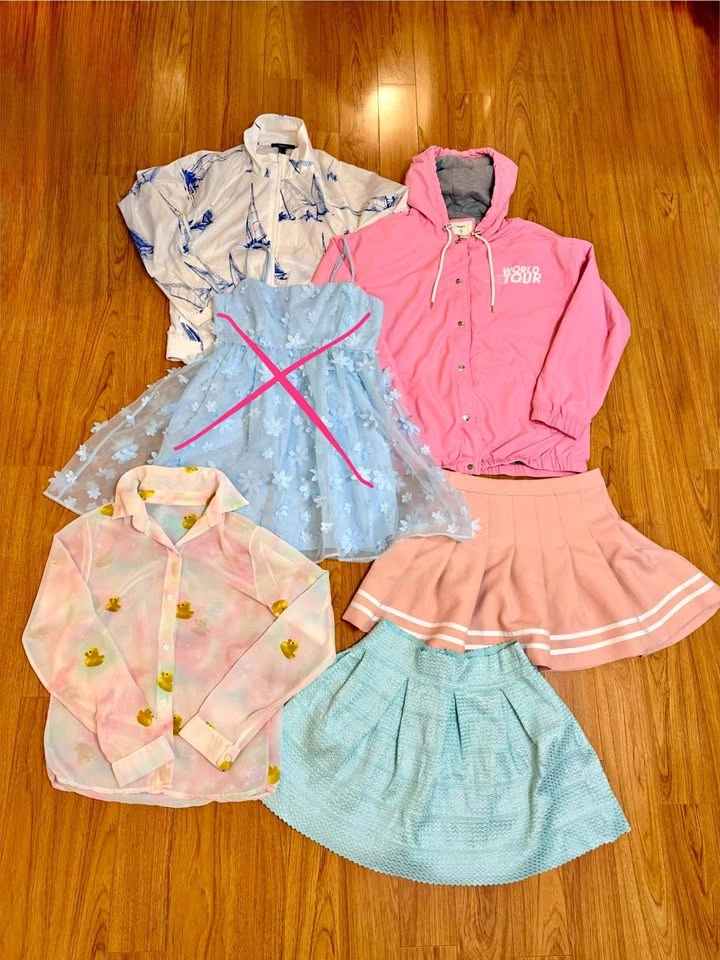 Cute kawaii pink & blue women’s clothes bundle