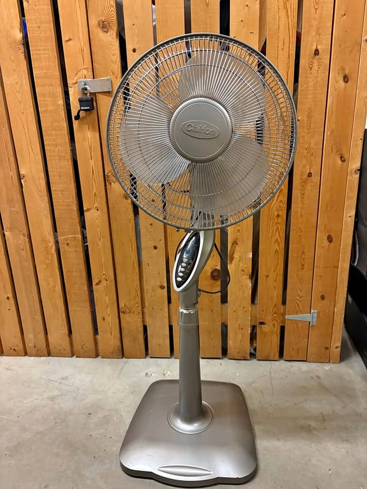 Pedestal Fan