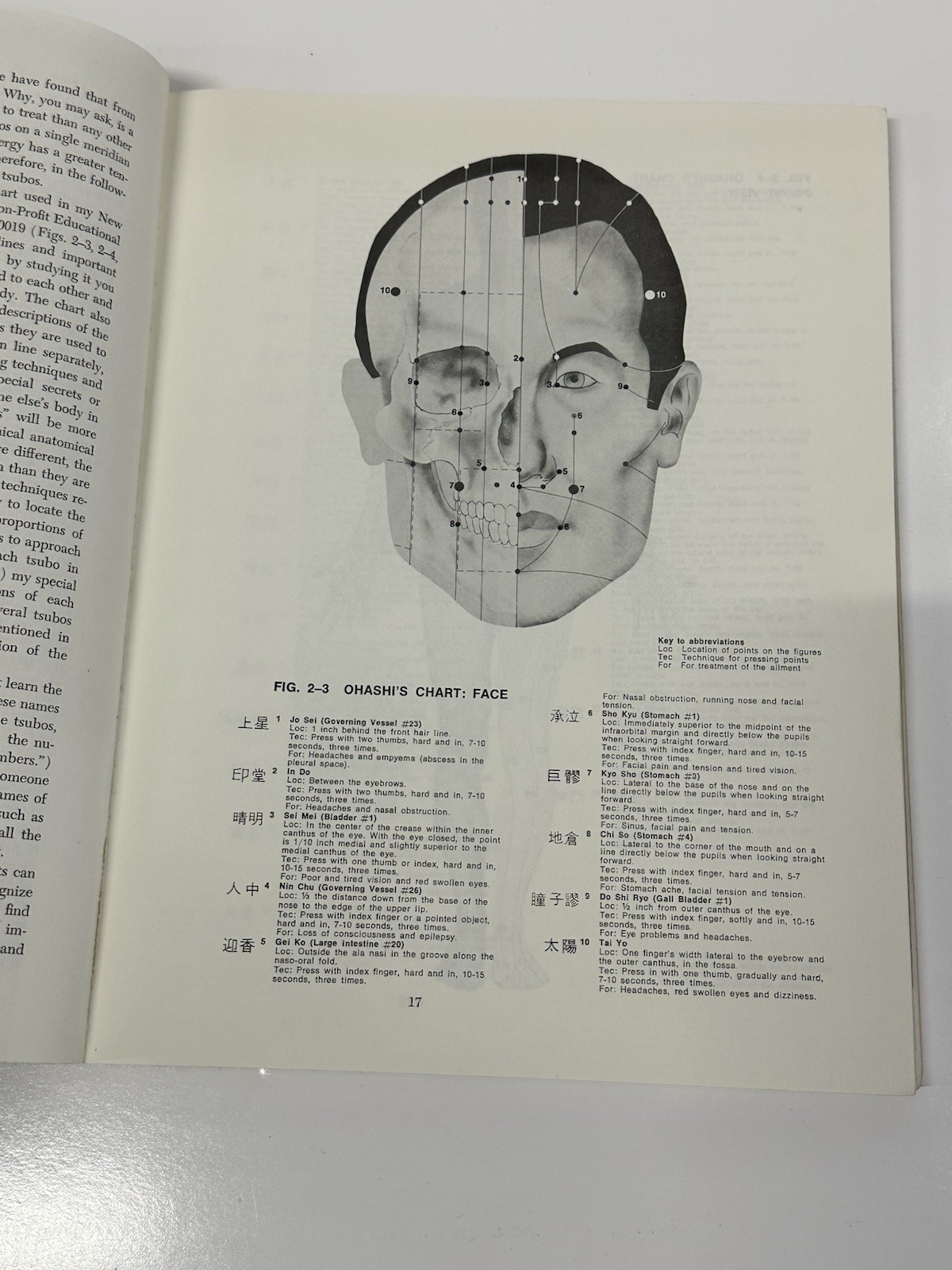Ohashi Bodywork + DIY Shiatsu Books by Wataru Ohashi - photo 4