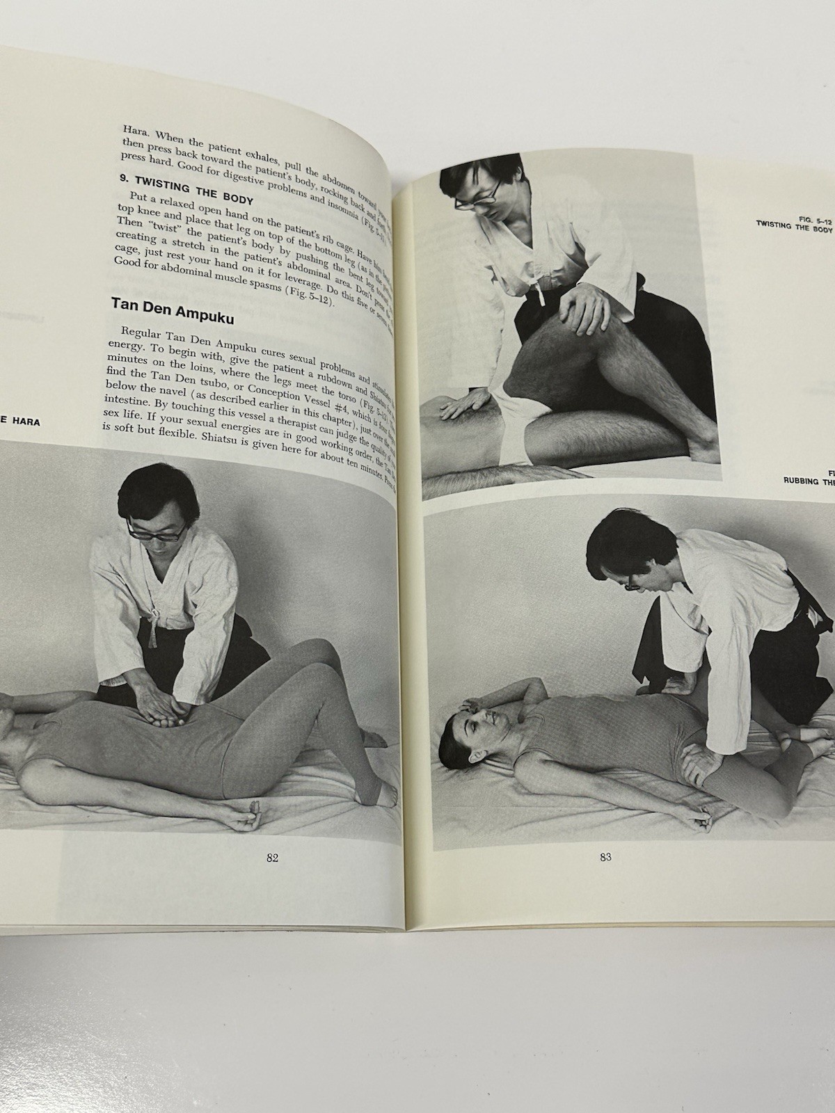 Ohashi Bodywork + DIY Shiatsu Books by Wataru Ohashi - photo 5