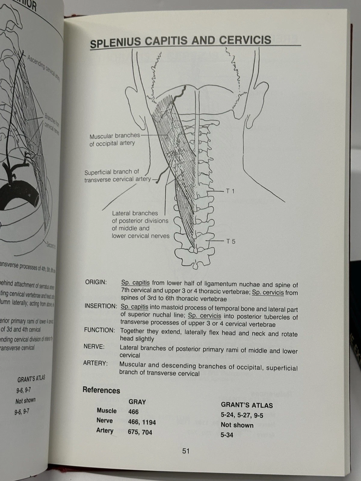 Warfel Anatomy Set 5th Ed Head Neck Trunk & Extremities Hardcove - photo 4