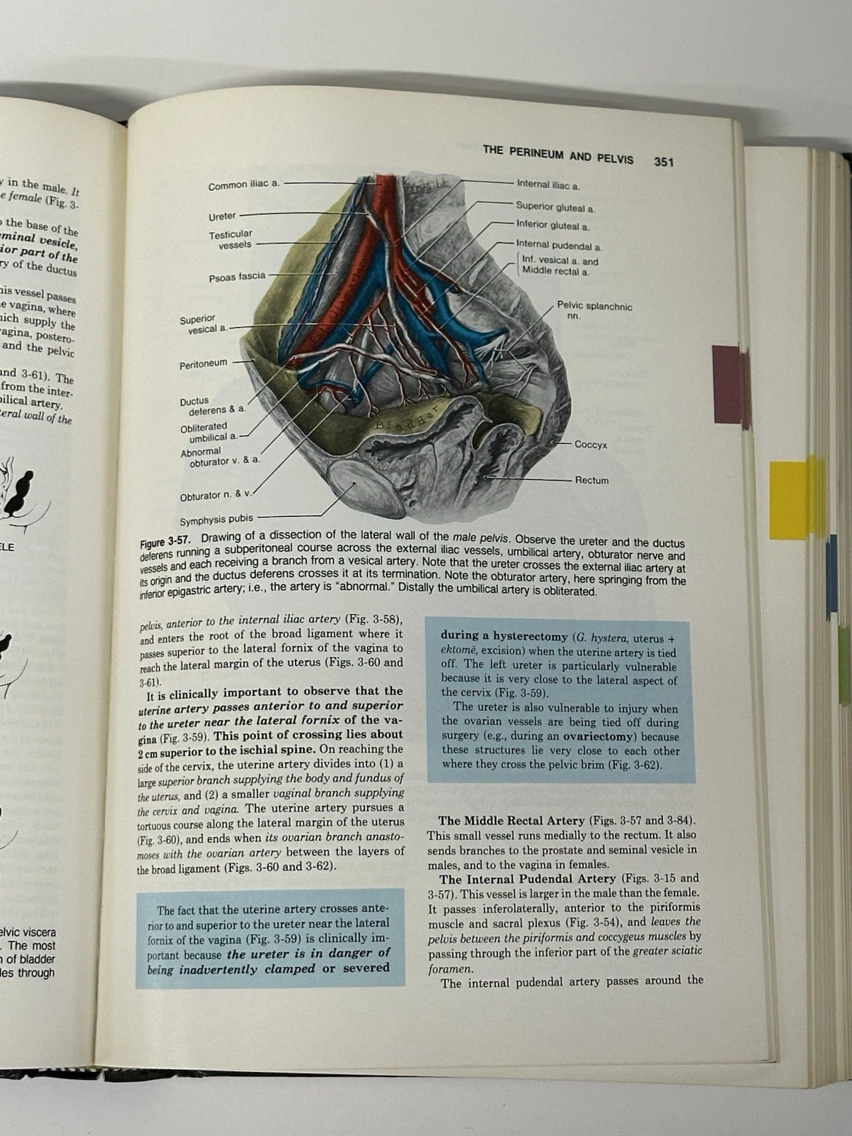 Clinically Oriented Anatomy 2nd Edition Keith L Moore Hardcover - photo 4