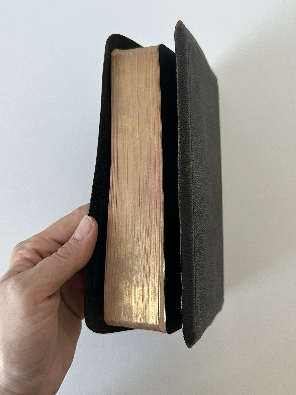 Scofield Reference Bible Leather Binding Oxford Facsimile 1946 - photo 4