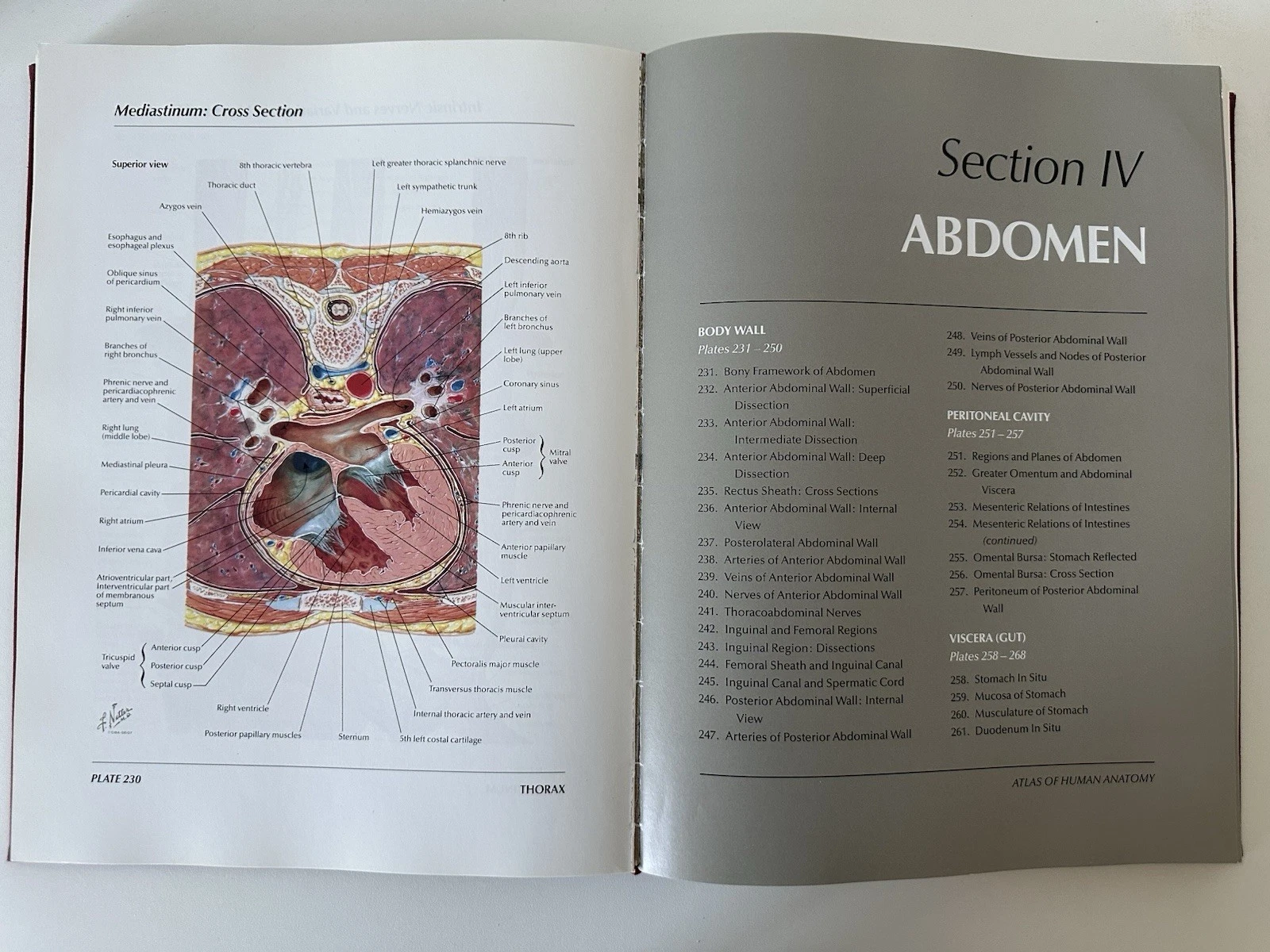 Atlas of Human Anatomy Frank H. Netter 1989 Hardcover First Edit - photo 4