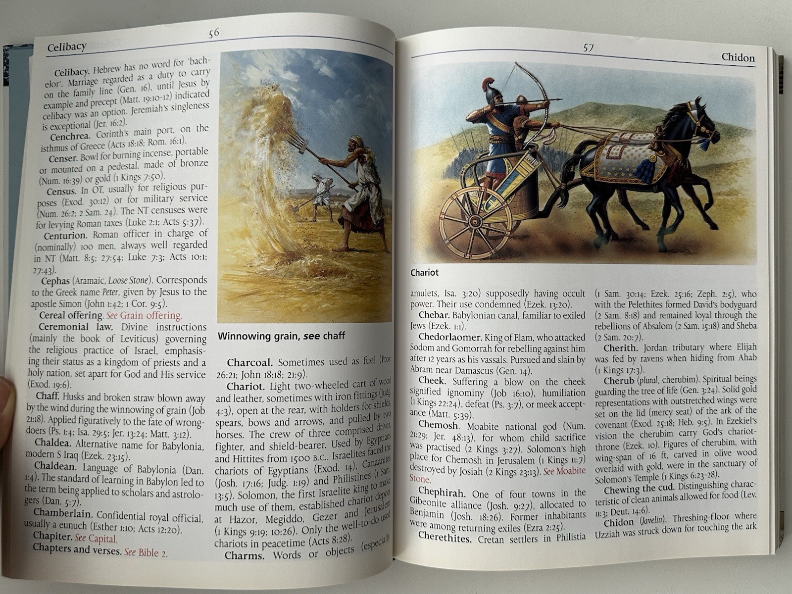 Holman Giant Print Illustrated Bible Dictionary Hillyer Hardcove - photo 4