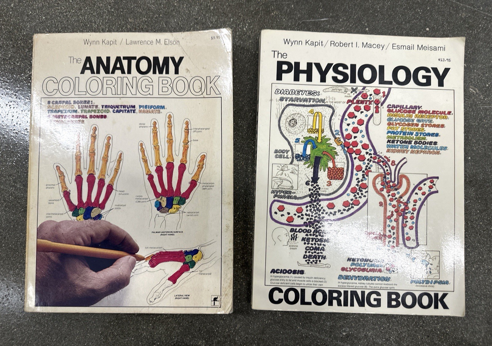 Anatomy & Physiology Coloring Books Kapit Medical Study Set
