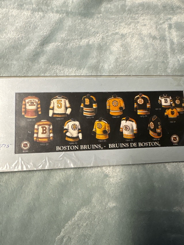 Boston Bruins Jersey Display - photo 3
