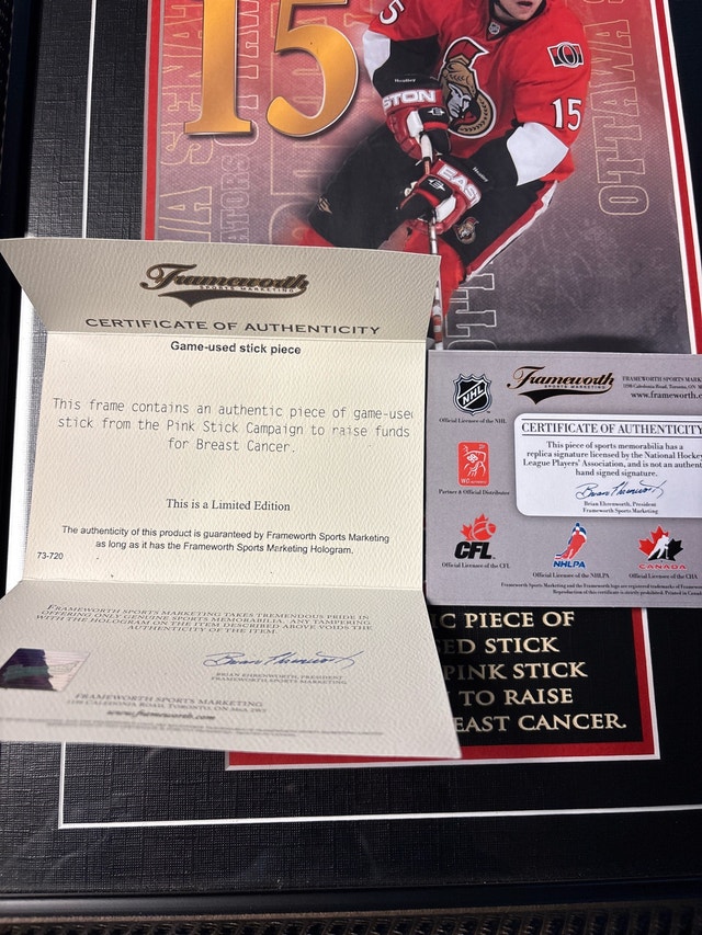 Dany Heatley Framed Memorabilia - photo 2