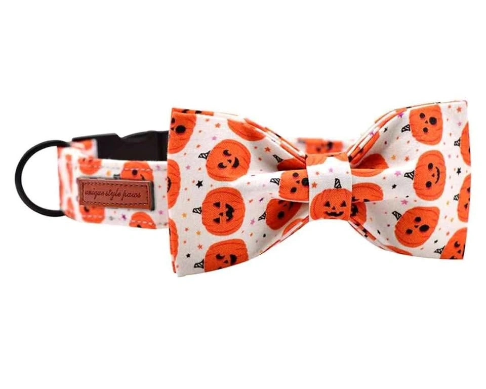 Pumpkin Dog Collar