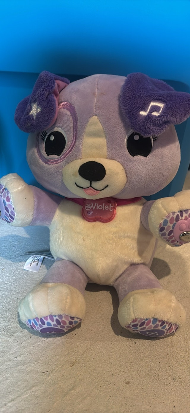 Leapfrog Violet Puppy