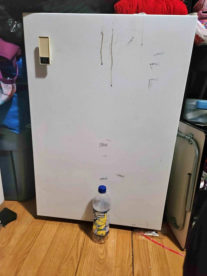 Stand up Freezer