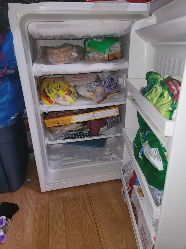 Stand up Freezer - photo 2