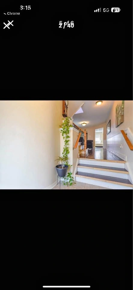 House for rent