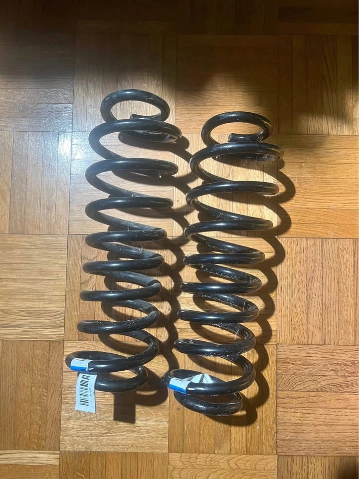 2005-2009 Ford Mustang GT Rear Coil Springs (2pc) OEM