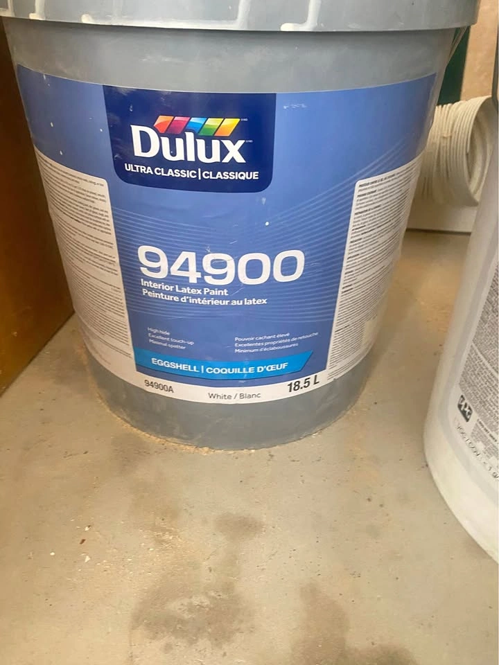 Paint