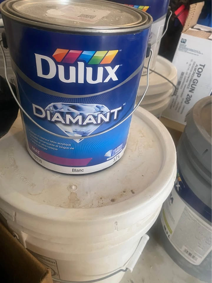 Paint - photo 5