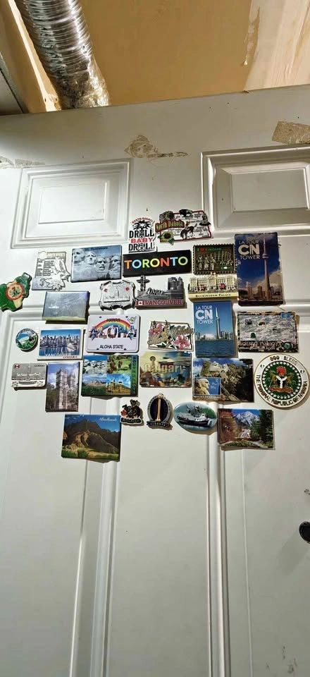 Lot of 29 Collectable Souvenir Fridge Magnets