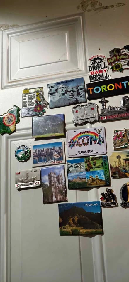 Lot of 29 Collectable Souvenir Fridge Magnets - photo 3