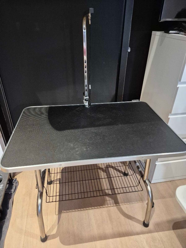 Dog Grooming Table