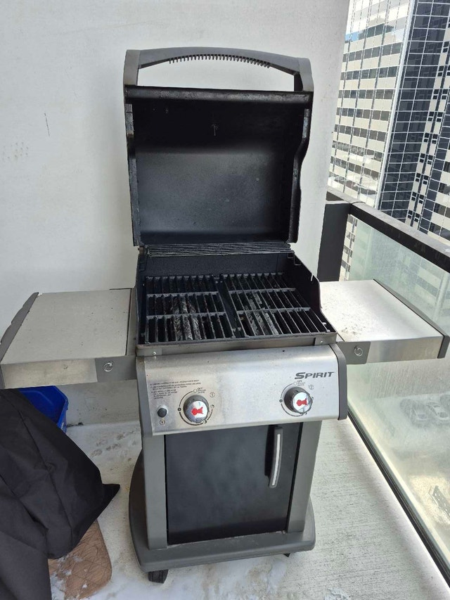 Weber Spirit E-210 Grill - photo 2