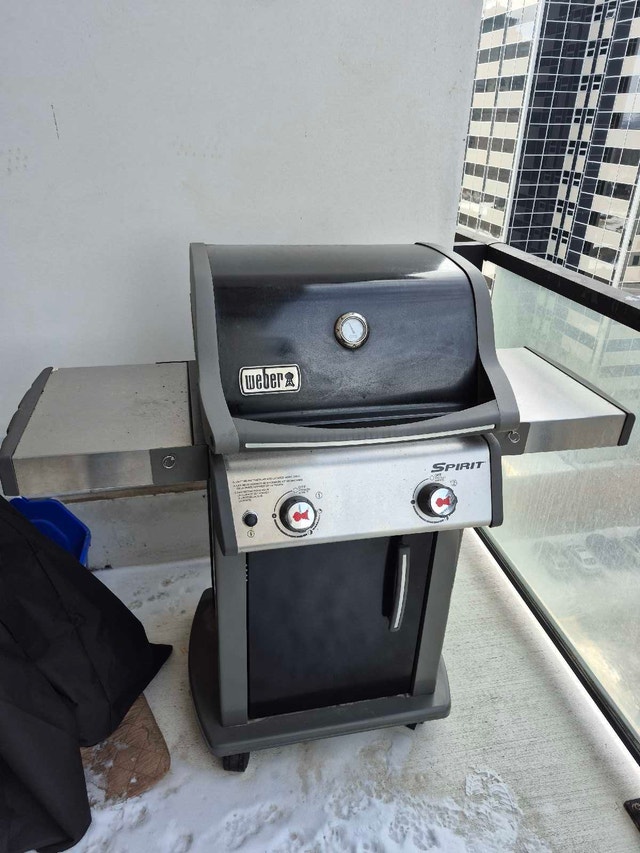 Weber Spirit E-210 Grill - photo 3