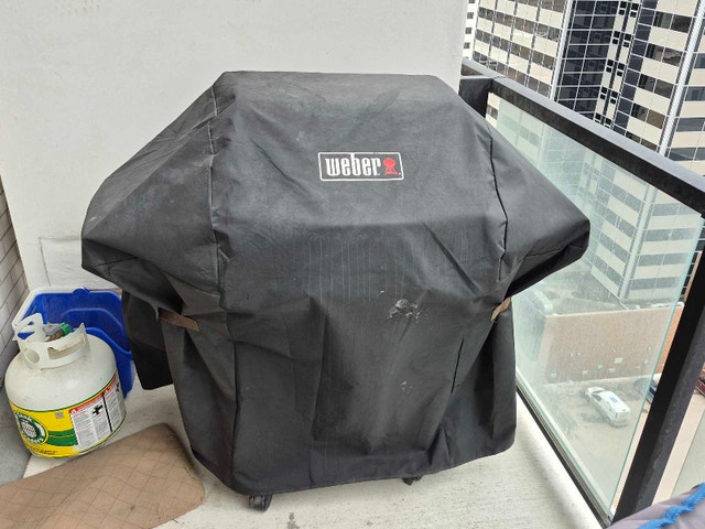 Weber Spirit E-210 Grill - photo 5
