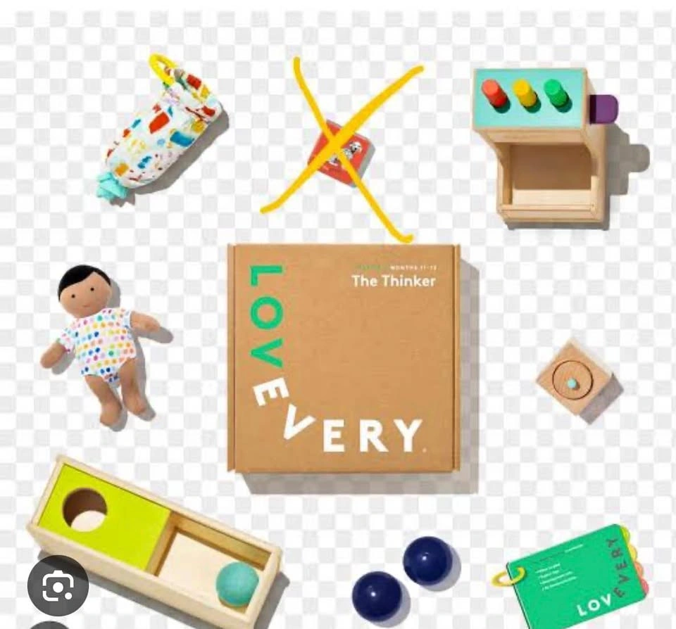Lovevery The Thinker Kit (11-12mo)