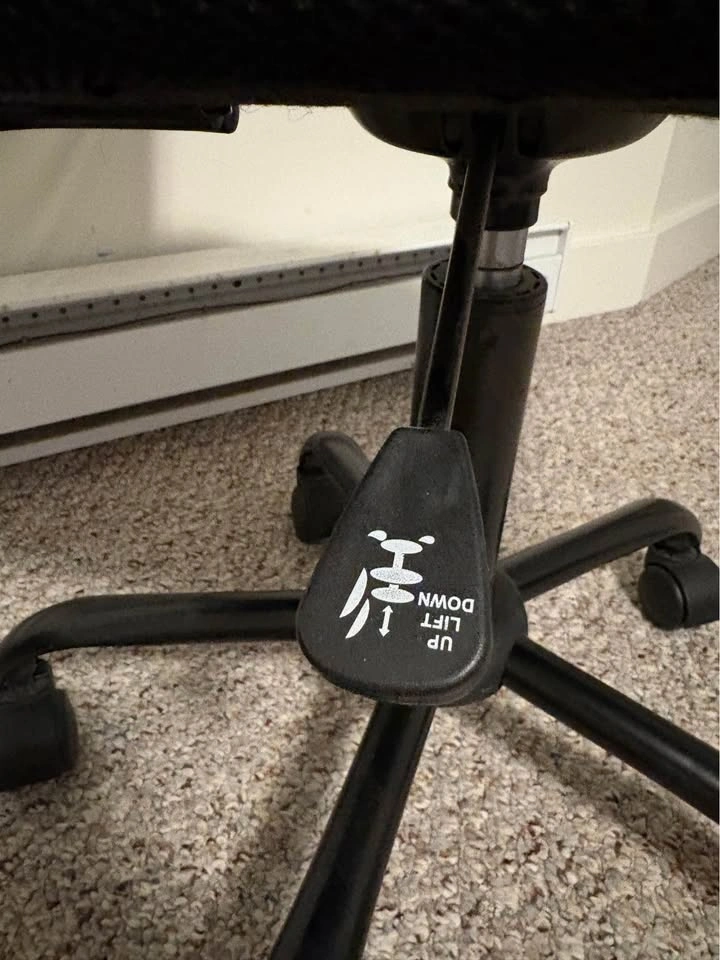 Rolling Chair - photo 2