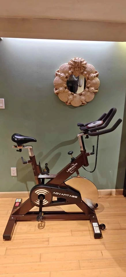 Lifeguard Advantage Indoor Cycle