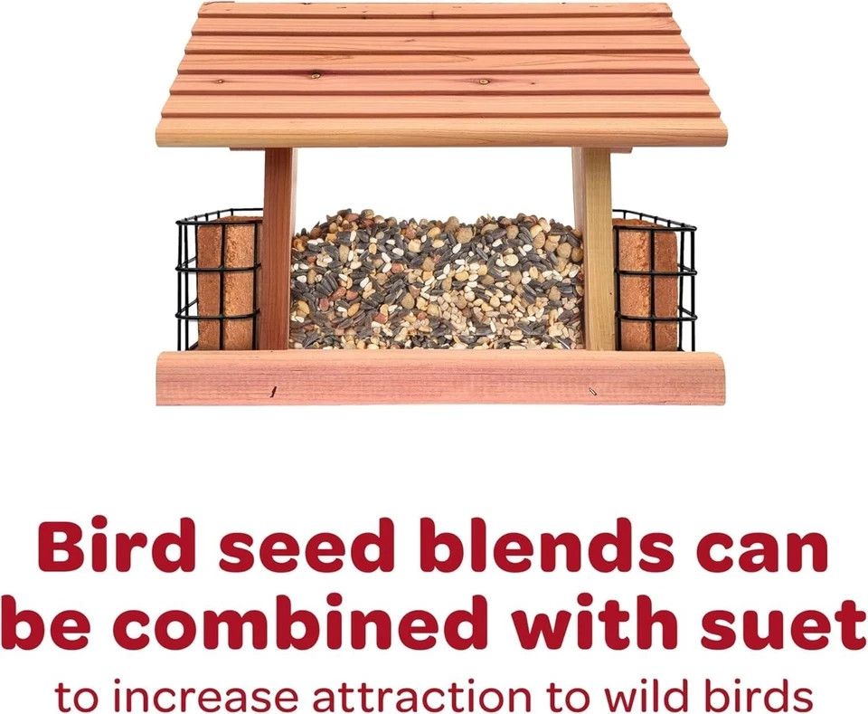 Kaytee Wild Bird Finch Food Blend 3 lb - photo 4