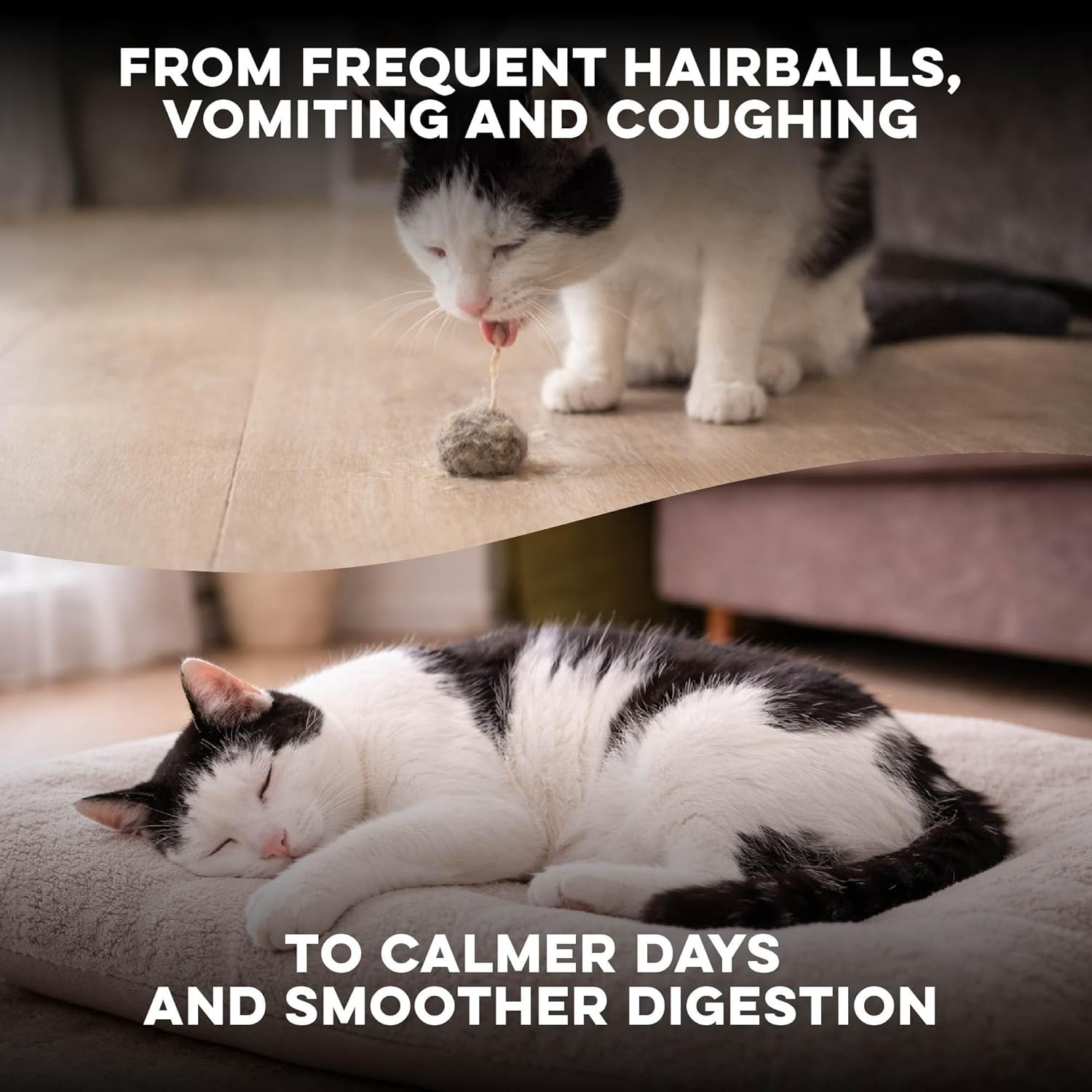 Hairball Treatment for Cats & Stomach Comfort Remedy - photo 3