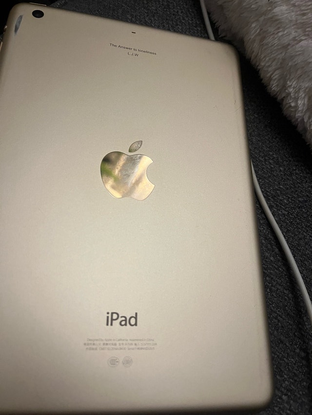 Apple iPad - Used, Functional with Screen Crack